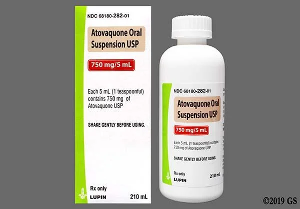 Atovaquone Oral