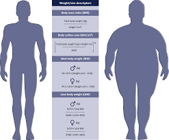 Lose Body Fat