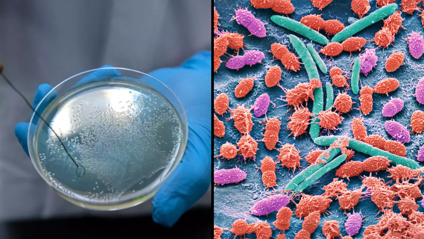 Scientists Found Deadly Bacteria