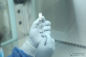 Ghana Develops Lassa Fever Vaccine; First Human Trial Conducted - Confirmed Information Available Here