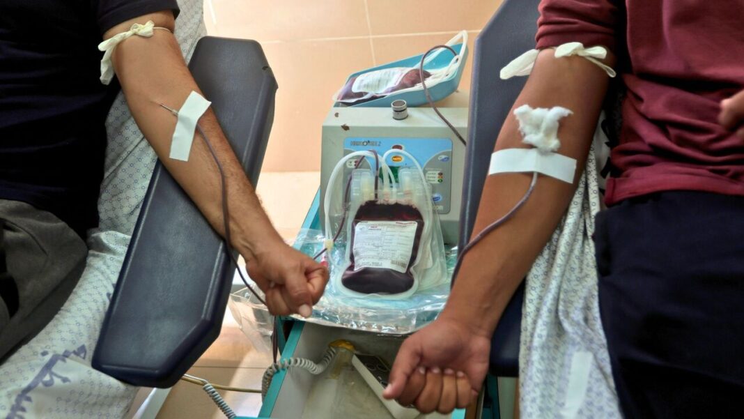 Blood Shortage In Your Body