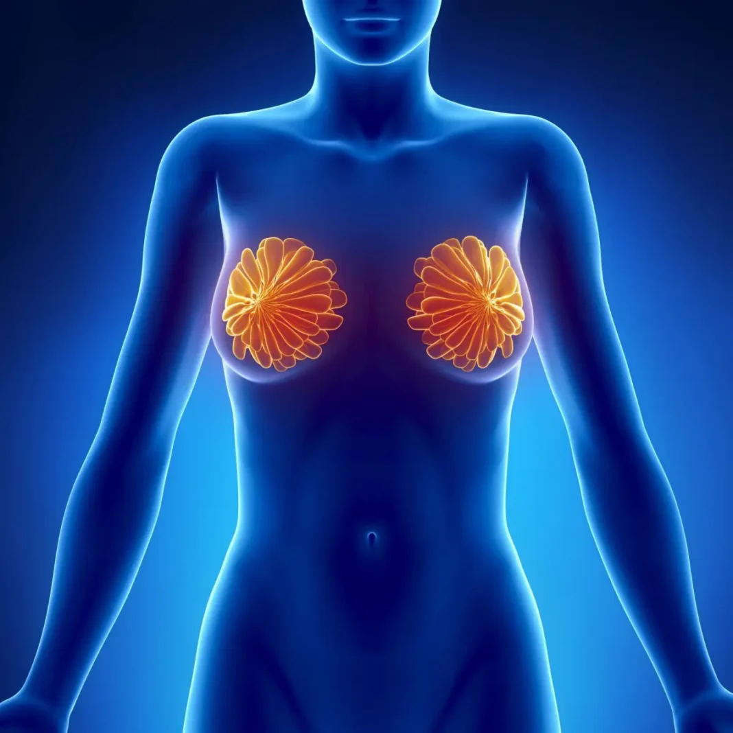 All About Breast Cancer Survival Rates and Outlook