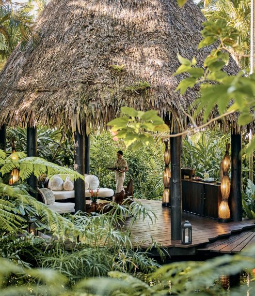Luxury wellness retreats with herbal therapy