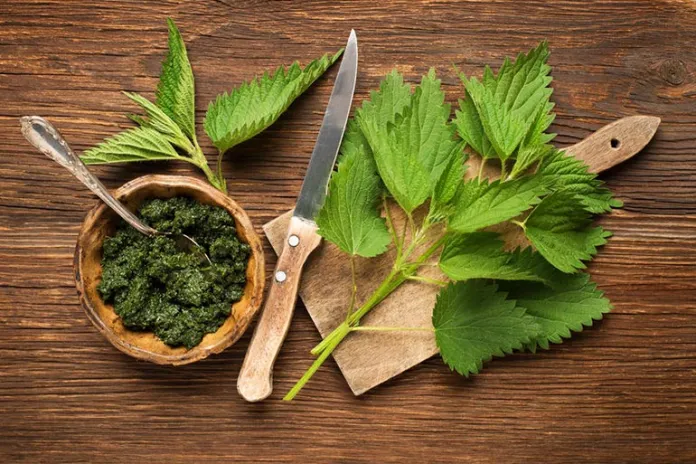 4 Herbs for Sickle Cell Anemia: A Look at Natural Support