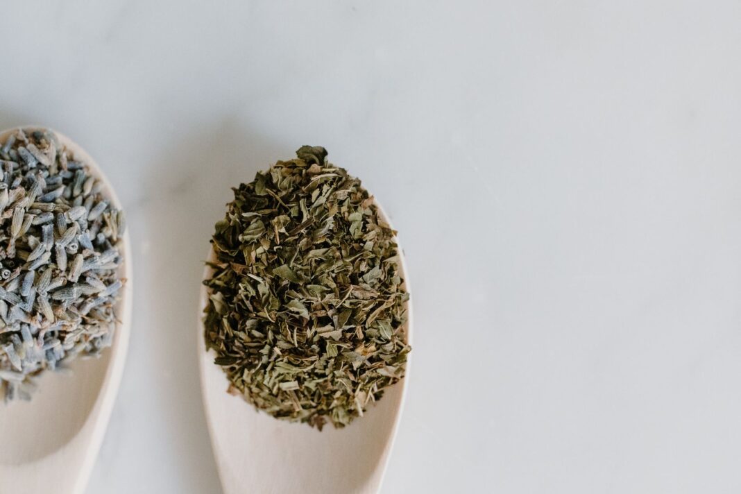Best Herbs for Sleep Quality in 2026