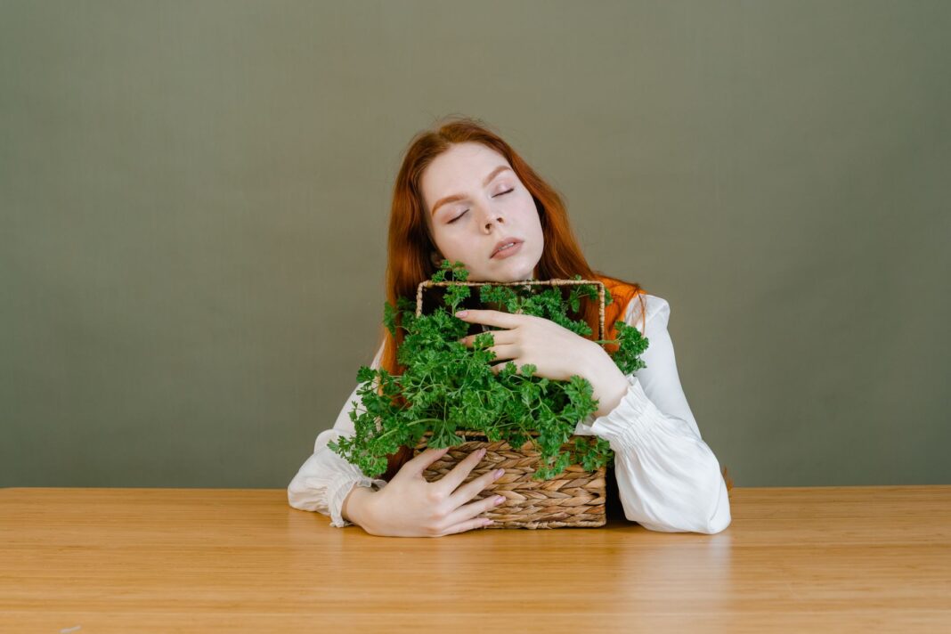 Herbs for Skin Health 2026: Natural Remedies Guide