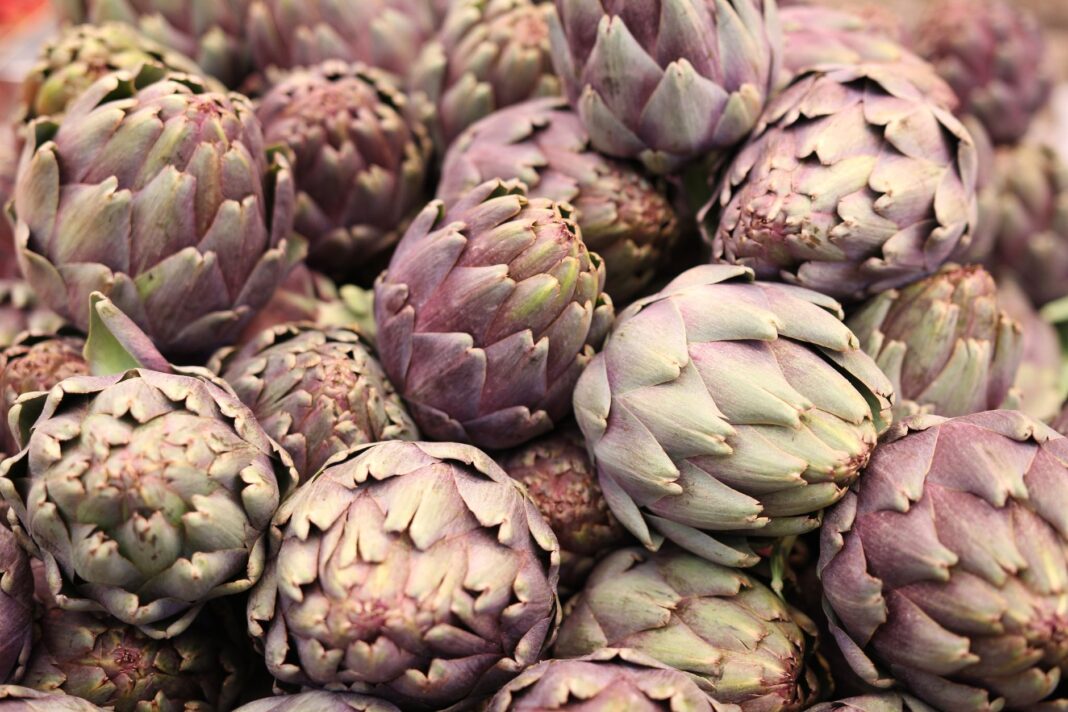 Milk Thistle Benefits for Liver Health 2026