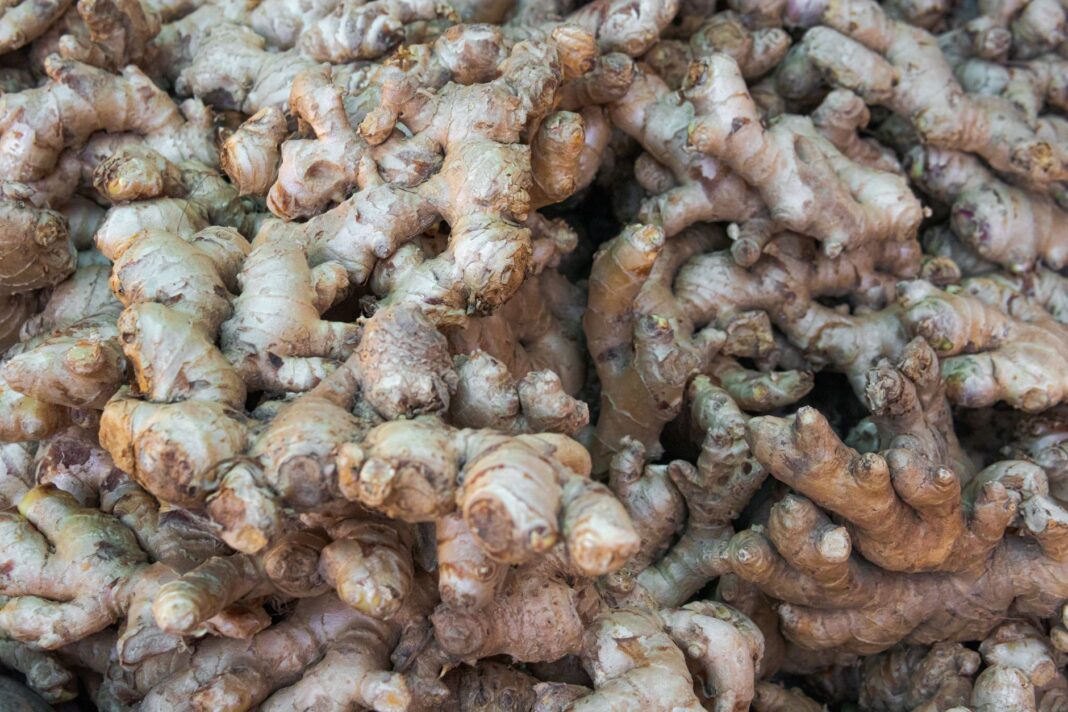 Ginger Benefits for Health 2026: Complete Guide